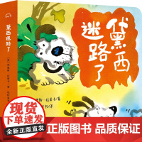 黛西迷路了