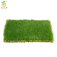 廷豪果 百慕大草坪 1平方米 /块