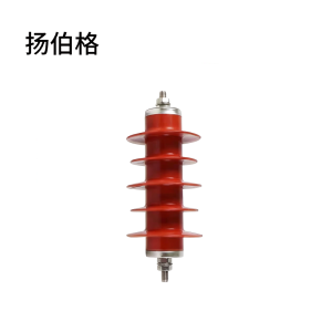 扬伯格 氧化锌防护器 HY5WS-17/50 只