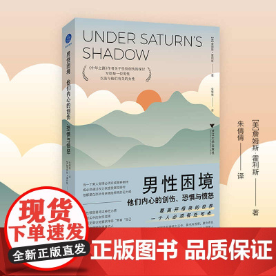 男性困境 他们内心的创伤 恐惧与愤怒 詹姆斯·霍利斯 著 中年之路作者关于性别创伤的探讨 没有人能准确定义到底什么是男