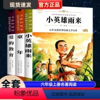 全3册 六年级上册名著阅读 [正版]全3册 六年级上册名著阅读 小英雄雨来 童年 爱的教育 百年百部世界经典文学中小学生