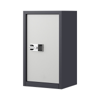 阿拉贡指纹电子保密柜钢制密码文件柜档案柜办公柜矮柜保密资料柜单门灰白:国保锁