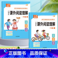 [上册+下册/全2册]课外阅读理解 小学二年级 [正版]二年级课外阅读理解专项训练书上册下册人教版小学2年级语文同步练习