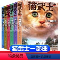 [正版]猫武士首部曲一部曲猫武士系列全6册寒冰烈火风起云涌力挽狂澜猫武士1:呼唤野性动物 小学生课外阅读 三四五六年级