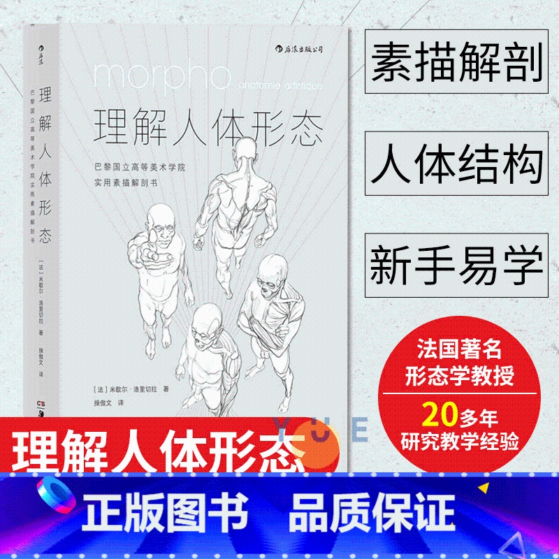 理解人体形态:巴黎国立高等美术学院实用素描解剖书 [正版]理解人体形态 美院实用素描解剖书 人体结构教程人体素描速写教程