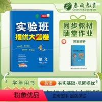 语文 九年级上 [正版]2023秋实验班提优大考卷中学九年级上册初中语文人教版同步测试卷期中期末达标提优练习全套讲解尖子