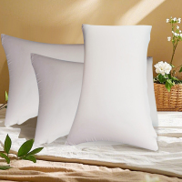 东凯汇普 太空记忆棉腰枕芯 55*35*17cm 个