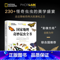 国家地理奇妙昆虫全书 [正版]国家地理奇妙昆虫全书 乔尔·萨托 230+怪奇虫虫的美学盛宴 走近隐秘二伟大的演化之王 影