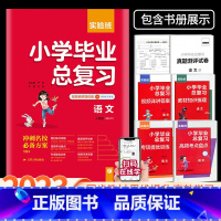 语文 [人教版] 小学升初中 [正版]2023版实验班小学毕业总复习语文数学英语全套人教版小升初毕业升学总复习资料专项测