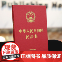 正版 2020 民法典 中华人民共和国民法典 16开 精装 大字本 中国法制出版社 9787521611328