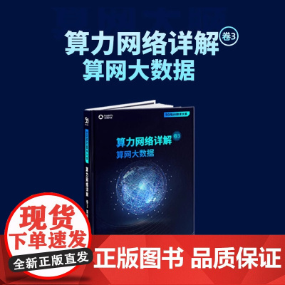 正版新书 算力网络详解 卷3 算网大数据 罗峰 清华大学出版社 计算机网络数据处理