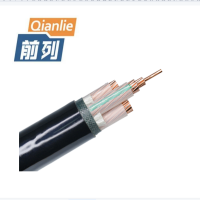 前列 铜芯交联电缆ZC-YJV-0.6/1KV-4*10+1*6mm² 米
