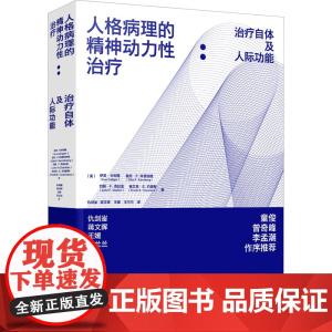 人格病理精神动力性治疗自体人际功能伊芙卡利格心理治疗临床心理学精神分析客体关系治疗师指南创伤治疗人格障碍心理学专业书籍