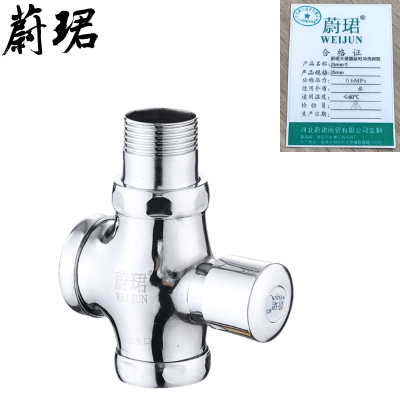 蔚珺大便器延时冲洗阀铁25mm个