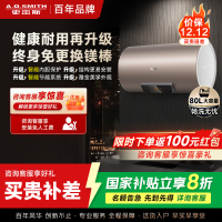 史密斯80升电热水器 国家补贴 专利免更换镁棒 金圭内胆 速热节能 CEWH-80ED3 一级能效