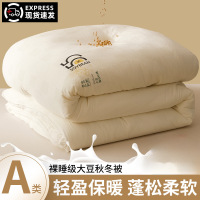 大豆纤维被子春秋被芯夏凉被空调被可机洗棉被单双人夏被四季通用