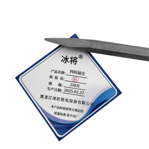 冰将 电锤尖扁凿子四坑镐尖冲击钻头 个