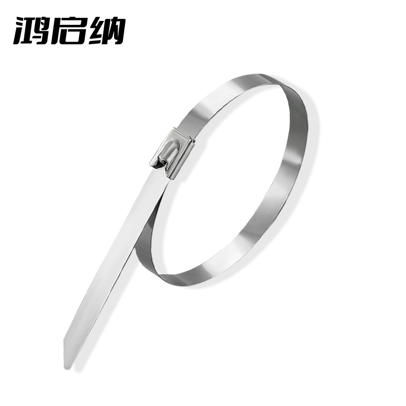 鸿启纳 304不锈钢扎带金属强力卡扣自锁式收紧 DH10 4.6mm*300mm (100根/包)