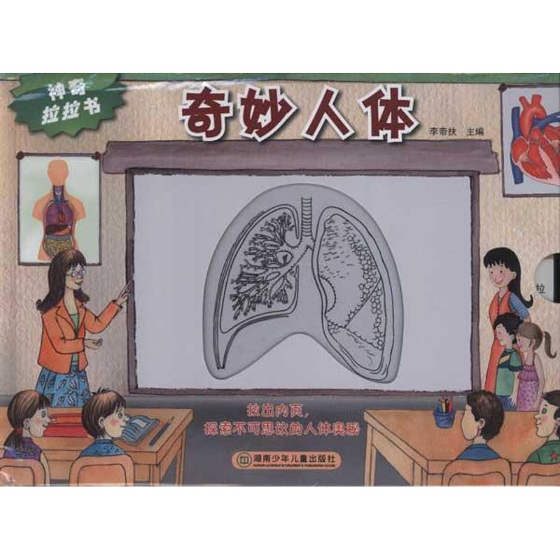 正版新书]奇妙人体-神奇拉拉书李帝扶9787535868442