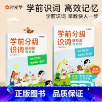 [全4册]基础+进阶 赠游戏书 [正版]学前分级识词学前识字书 入学识字启蒙用书 幼小衔接早教书籍 适用3-8岁幼儿用书