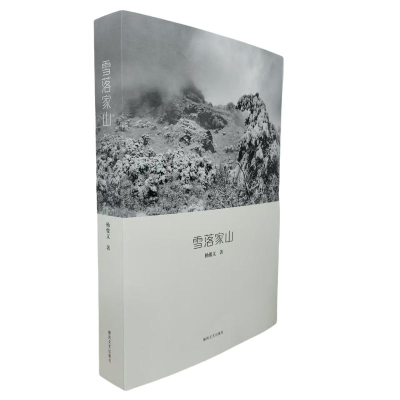正版新书]雪落家山杨俊文 著9787531368649