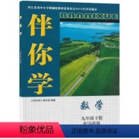 数学伴你学九年级下册 初中通用 [正版]2024春伴你学初中数学九年级下册配苏科版9年级下册初三下册用书含参考答案江苏人