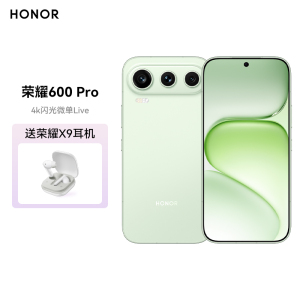 荣耀600 Pro 12GB 256GB 青苹果