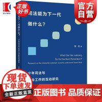 司法能为下一代做什么 少年司法与社会工作的互动研究杨旭著上海人民出版社少年司法刑法法律读物正版书籍
