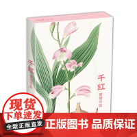 千红·爱德华兹明信片32张名家各种类花卉水彩画册集艺术小卡片手绘插画简约小清新文艺日系复古风生日感恩节圣诞节贺卡创意礼物