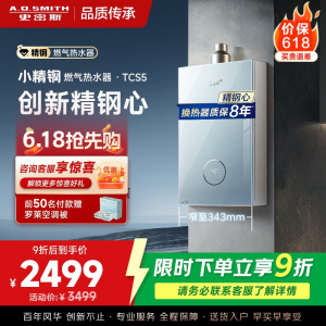 AO史密斯佳尼特[小精钢TCS5]13升精钢燃气热水器 国家补贴 JSQ26-TCS5 安全守护 持久恒温大水量