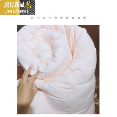 春秋被四季通用加厚保暖被子被芯单双人冬被 三维工匠