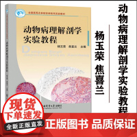 正版 动物病理解剖学实验教程 杨玉荣 焦喜兰主编 中国农业大学出版社 9787565504778
