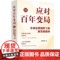 2025新书 应对百年变局 Ⅲ 全球治理视野下的新发展格局 孙铁成 著 中国法治出版社 9787521649567