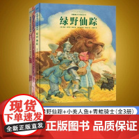 [认准正版]精装典藏童书大而美系列绘本全套3本 绿野仙踪+小美人鱼+青蛙骑士 在童年遇见大而美文学5岁以上儿童图画书 北