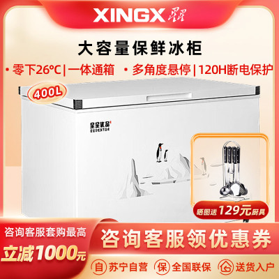 星星优品400升商用冰柜冷藏冷冻转换柜 保鲜强劲冷冻超市便利店大容量节能省电 可达零下负26度 BD/BC-400C/U