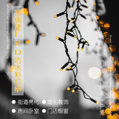 格瑞捷 LED彩灯串/满天星彩灯串 LED-10M-100T 0.06W 10m 公母插可串联
