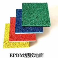 丝芝柔 DPDM健身步道 10mm 平方米