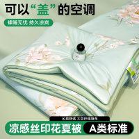 2026夏季凉感丝夏被空调板单人宿舍夏凉被大豆被子夏季被芯可机洗