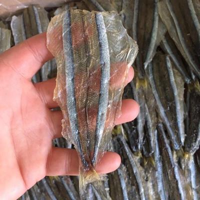 烧烤专用马步鱼干500g棒棒鱼针鱼片海鲜干货饭店用10厘米约70-80条