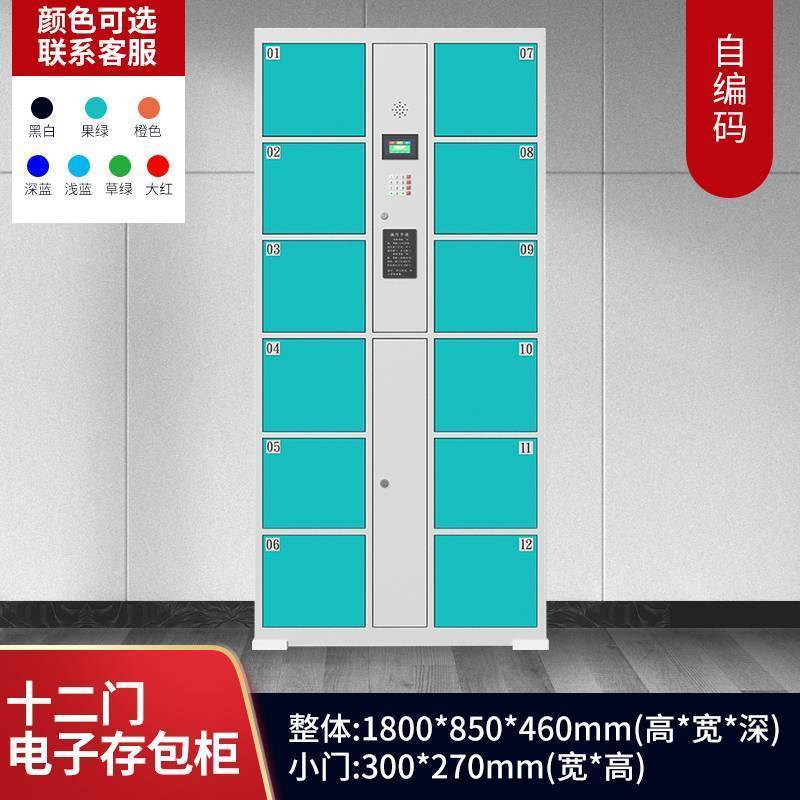 帝德龙12门存包柜电子存放柜自编码BMG-Z6 850*460*1800mm