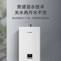 林内燃气热水器JSQ31-GT11