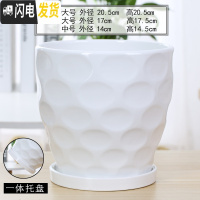 三维工匠花盆陶瓷大号特大创意个性带托盘塑料绿萝吊兰多肉小花盆 70003白(高款) 中等花盆容器