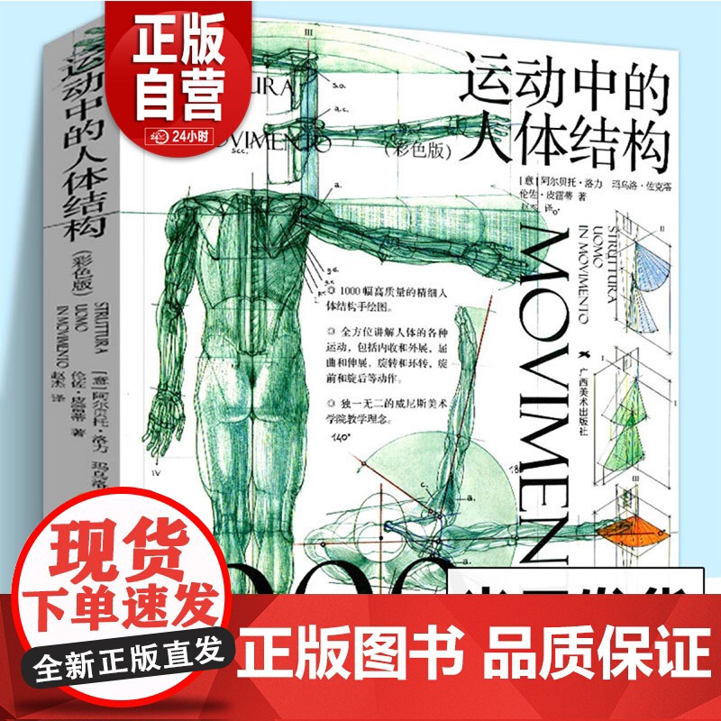 运动中的人体结构 彩色版 威尼斯美术学院 人体躯干骨骼结构绘画教学手绘画图赏析 骨骼解剖艺术素描动人物素描临摹基础技法书