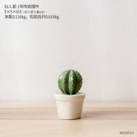 简约网红客厅迷你陶瓷仙人掌盆栽 ins创意家居宿舍桌面装饰品摆件 三维工匠 仙人掌-1号陶瓷盆栽
