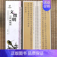 小楷-文征明·离骚jing [正版]经典碑帖近距离临帖摹字练习卡王羲之兰亭序冯承素摹王羲之集字圣教序文征明行草千字文行书