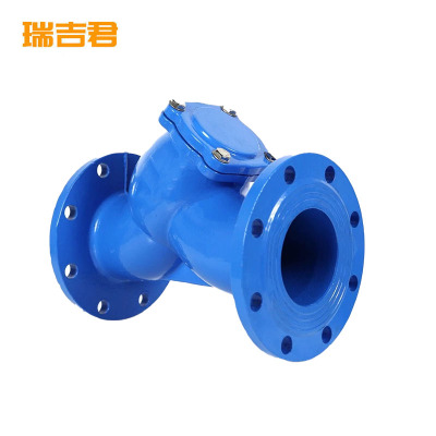 瑞吉君 铸铁法兰Y型过滤阀 DN80 个