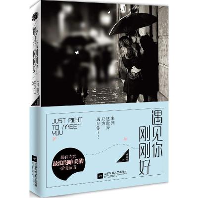 正版新书]遇见你刚刚好刘丽丽9787539980744