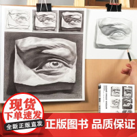 国美石膏五官素描书头像结构临摹范本人物切面像人头美术生对临入门画册临本考级联考明暗照片素材绘画教程解剖亚历山大半面像头部