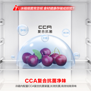 273L三门小冰箱小户型超薄一级能效风冷无霜变频节能出租房家用BCD-273E20RNLAJ BCD-273E20RNL