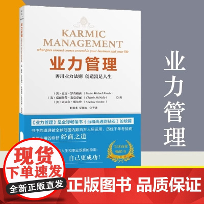 ]业力管理 善用业力法则创造富足人生 当和尚遇到钻石》续篇 能断金刚作者麦克·罗奇 正版书籍华文出版社
